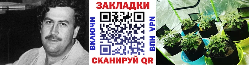 Купить наркотики цена Кирсанов Бошки Шишки COCAIN ГАШ Галлюциногенные грибы Меф мяу мяу Alpha PVP