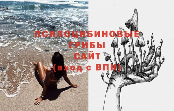 СК Верея