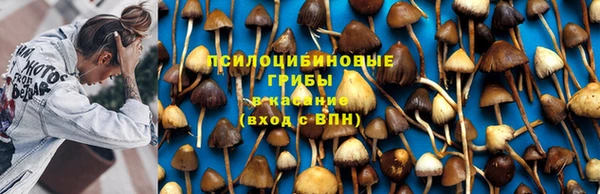 MDMA Premium VHQ Верхний Тагил