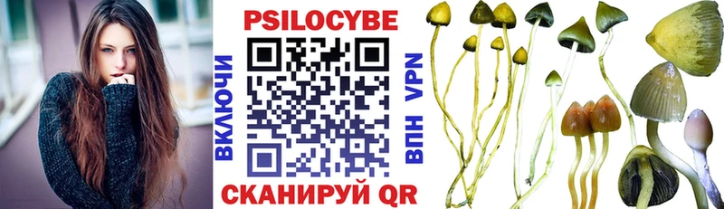 Галлюциногенные грибы Magic Shrooms  Кирсанов 